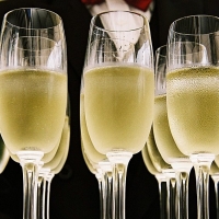 Nuevas Generaciones se une a la defensa de los viticultores y el cava en Extremadura