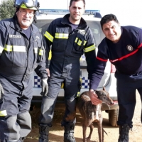 Los bomberos rescatan a un perro tras permanecer 48 horas dentro de un pozo