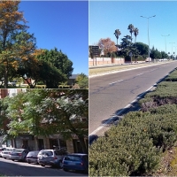 La Asociación Cívica de Badajoz reclama árboles para la avenida de Elvas