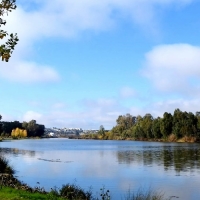 Ya se aprecian los resultados del trabajo de la UME en el río Guadiana