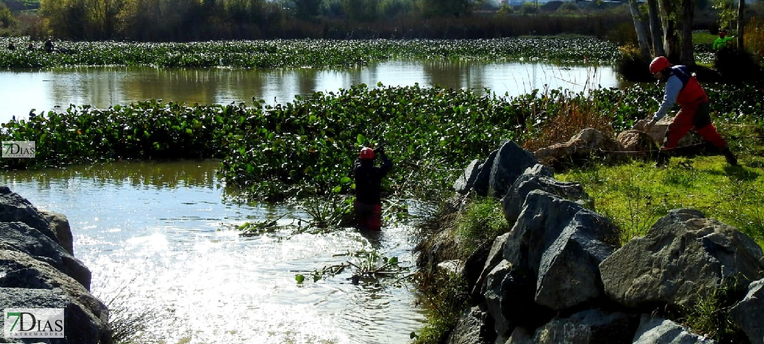 Ya se ven los trabajos de la UME en el río Guadiana