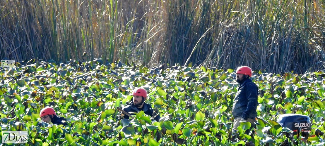 Ya se ven los trabajos de la UME en el río Guadiana