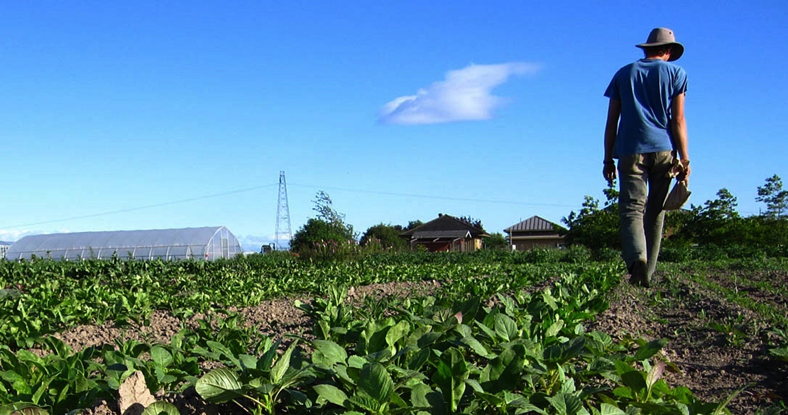 Autorizadas las ayudas agrarias por un importe de 684 millones