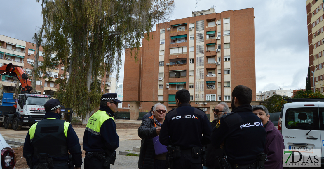 Asalto a la plaza de Santa Marta para intentar parar la tala de los eucaliptos