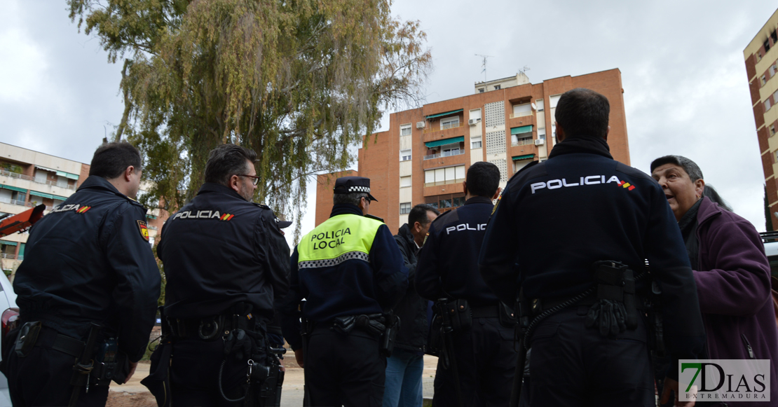 Asalto a la plaza de Santa Marta para intentar parar la tala de los eucaliptos