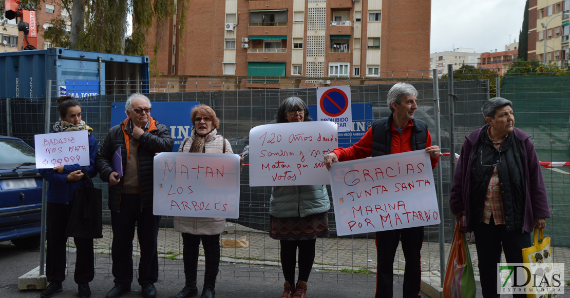 Asalto a la plaza de Santa Marta para intentar parar la tala de los eucaliptos