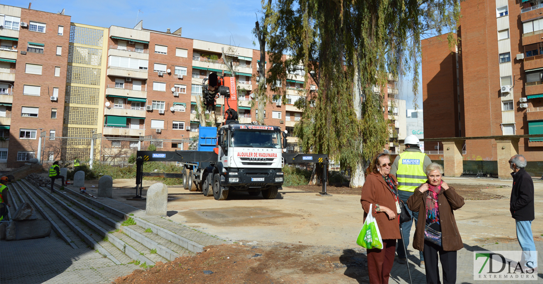 Asalto a la plaza de Santa Marta para intentar parar la tala de los eucaliptos