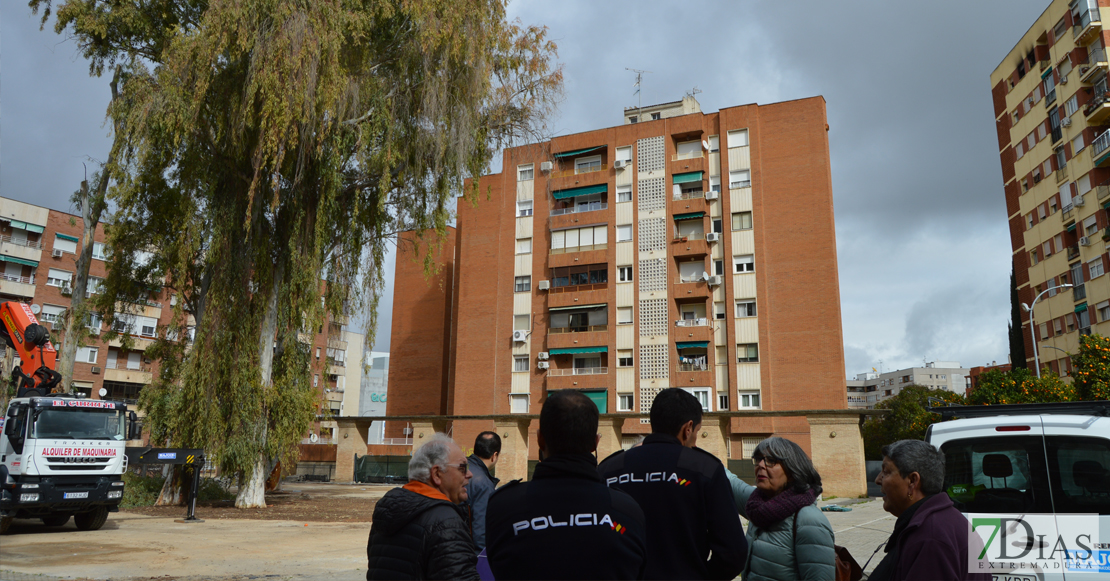 Asalto a la plaza de Santa Marta para intentar parar la tala de los eucaliptos