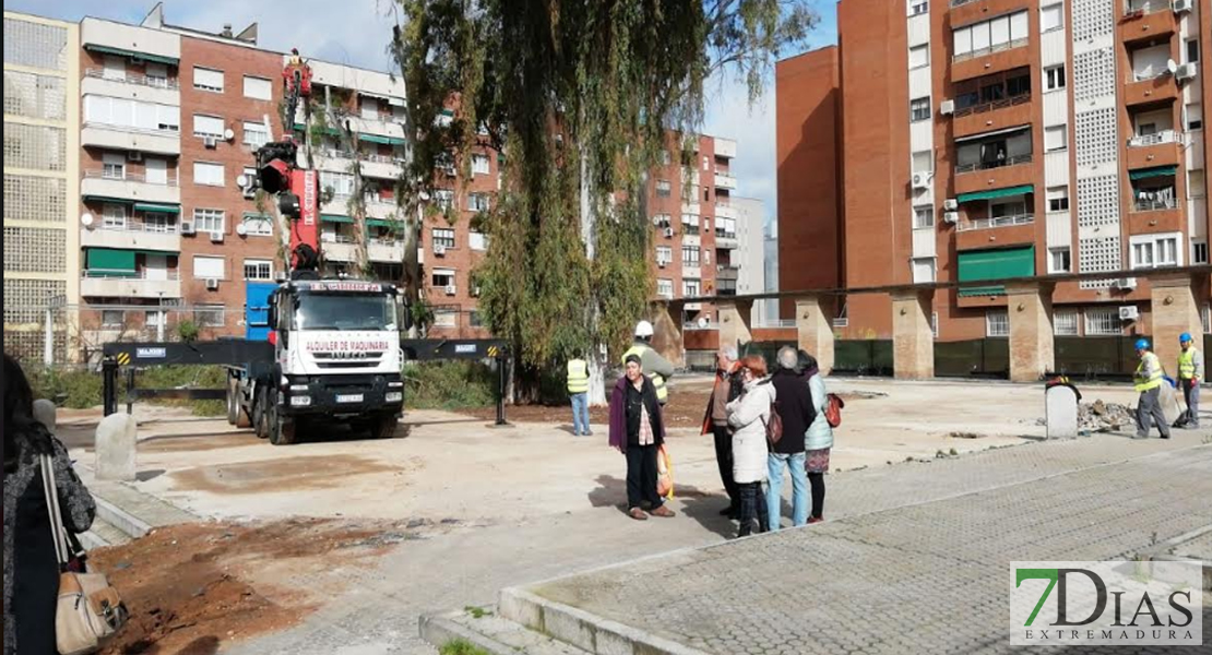 Asalto a la plaza de Santa Marta para intentar parar la tala de los eucaliptos