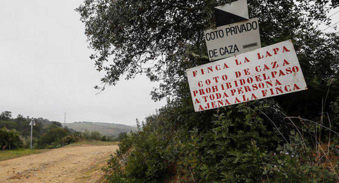 Muere un niño de cuatro años en una cacería en Sevilla