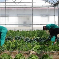 5.000.000 euros para dinamizar el sector de la agroindustria en Adecom-Lácara
