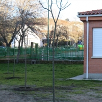 El CEIP Campo Arañuelo cuenta con nueva arboleda