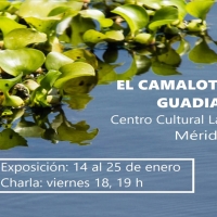 El camalote se expone en Mérida
