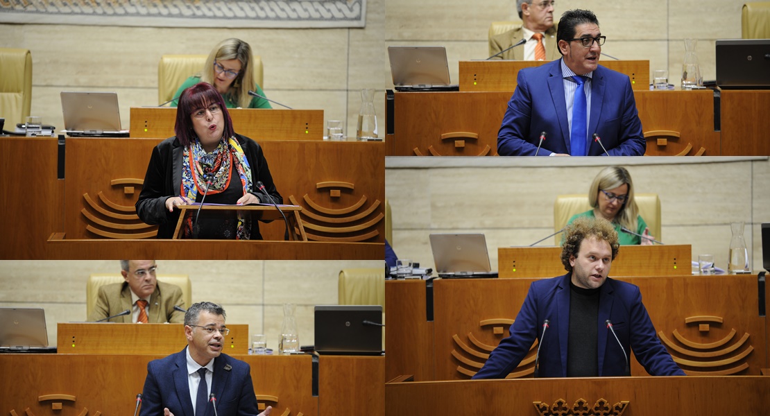 Los diputados se muestran a favor de prohibir los circos con animales en cautividad