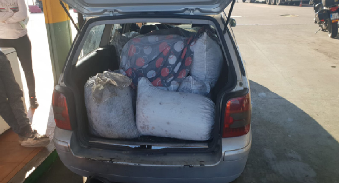 La Policía Local interviene más de dos toneladas de aceitunas robadas por una banda