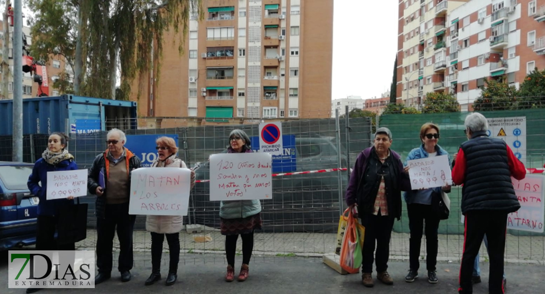 Asalto a la plaza de Santa Marta para intentar parar la tala de los eucaliptos