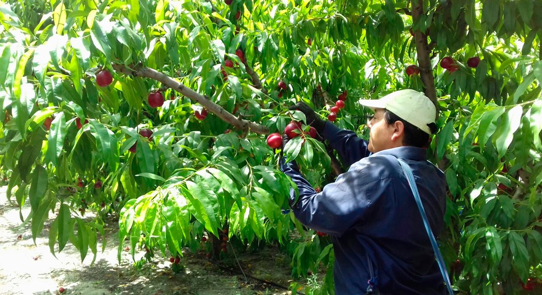 UPA responde a los sindicatos y asegura que cumple con la ley