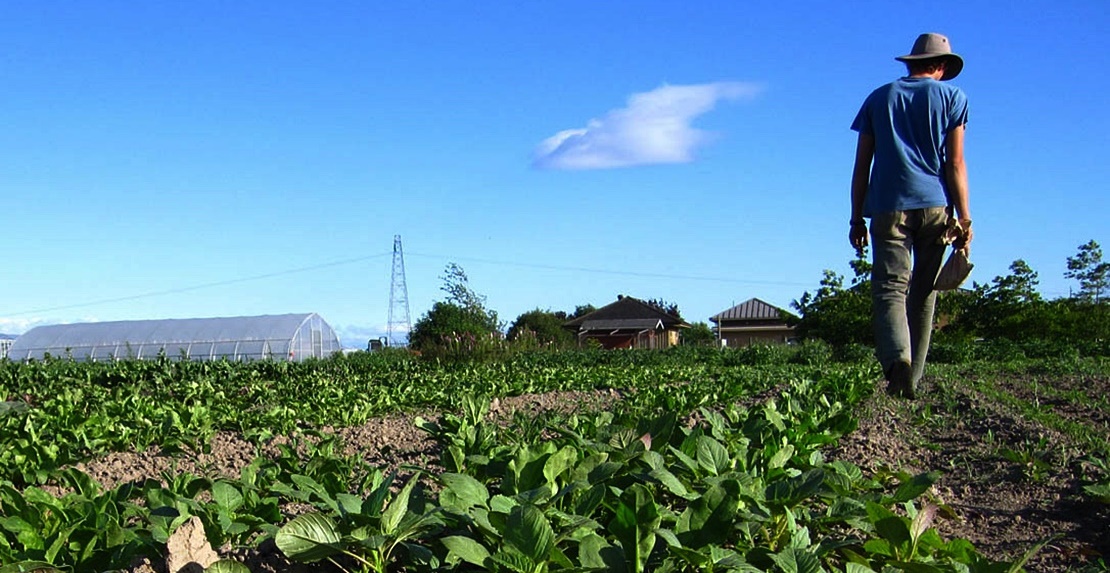 30 millones de euros en ayudas a la creación de empresas para jóvenes agricultores