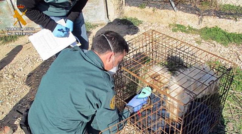 La Guardia Civil investiga a una persona por un presunto delito de maltrato de animales