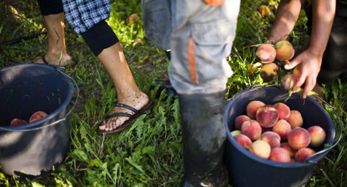 UPA quiere cambiar la ley sobre el control médico de los trabajadores