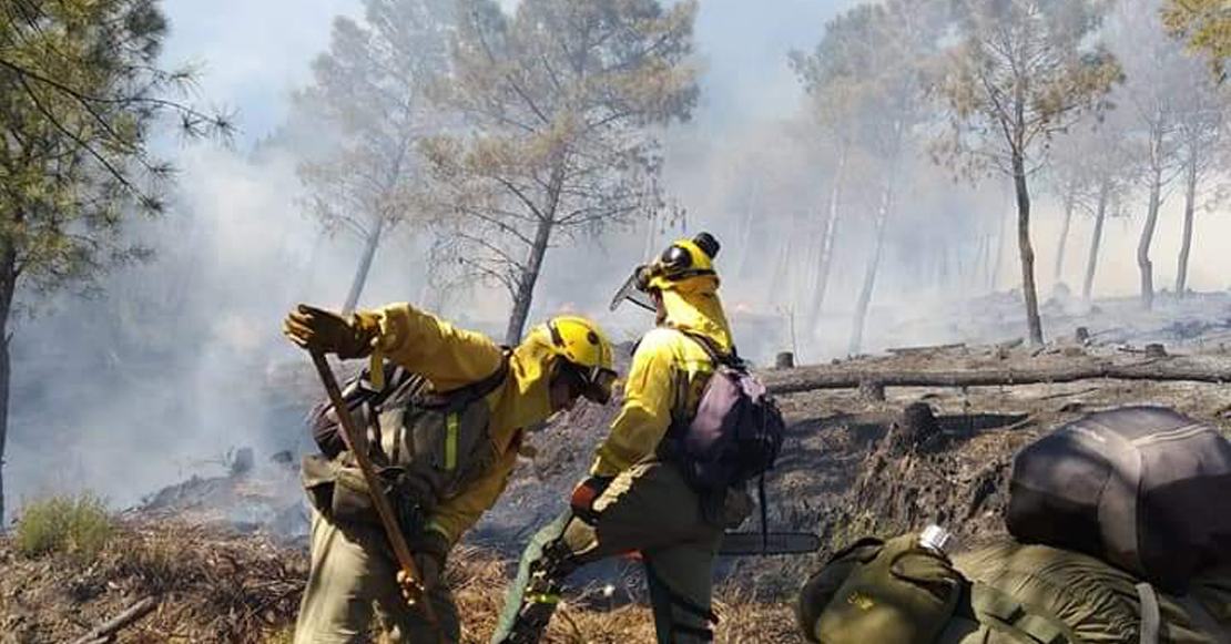 Brigadas del ministerio de agricultura extinguen el incendio de La Garganta
