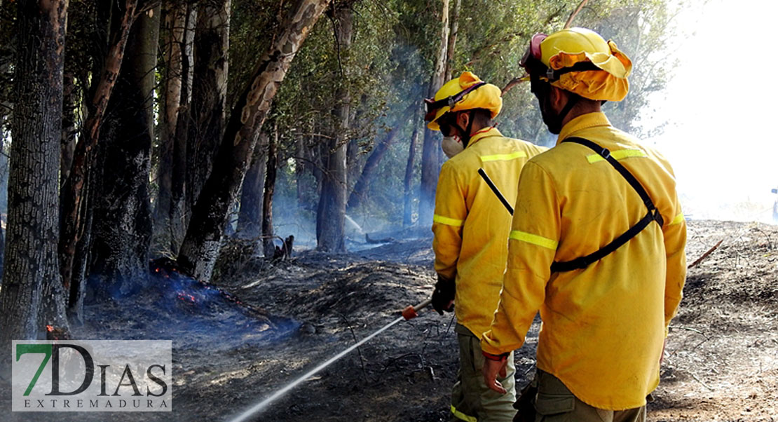 Bolsa de empleo y reivindicaciones de los bomberos forestales en Extremadura