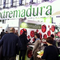 Fruit Logística Berlín contará con 22 empresas hortofrutícolas extremeñas