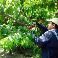 UPA responde a los sindicatos y asegura que cumple con la ley