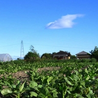 30 millones de euros para que jóvenes agricultores extremeños creen empresas