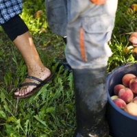 UPA quiere cambiar la ley sobre el control médico de los trabajadores