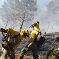 Brigadas del ministerio de agricultura extinguen el incendio de La Garganta (CC)