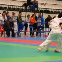 Judocas de toda España compiten en Montijo
