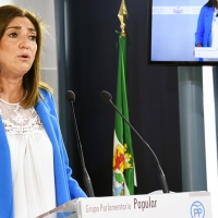 PP denuncia “el brutal recorte” que ha realizado la Junta con la educación concertada