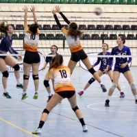 El Pacense Voleibol supera en un trabajado encuentro al Feel Volley