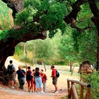 FIO 2019: Jornada sobre turismo de naturaleza y escuelas profesionales