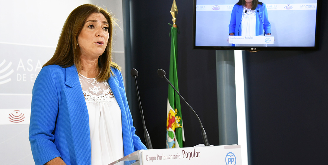 PP denuncia “el brutal recorte” que ha realizado la Junta con la educación concertada