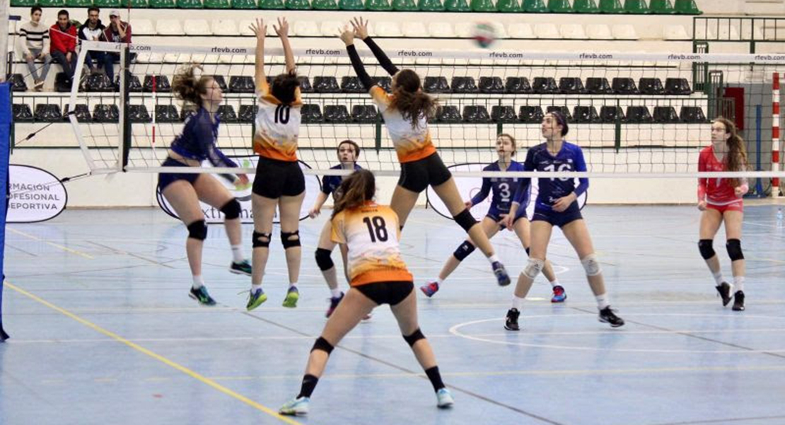 El Pacense Voleibol supera en un trabajado encuentro al Feel Volley