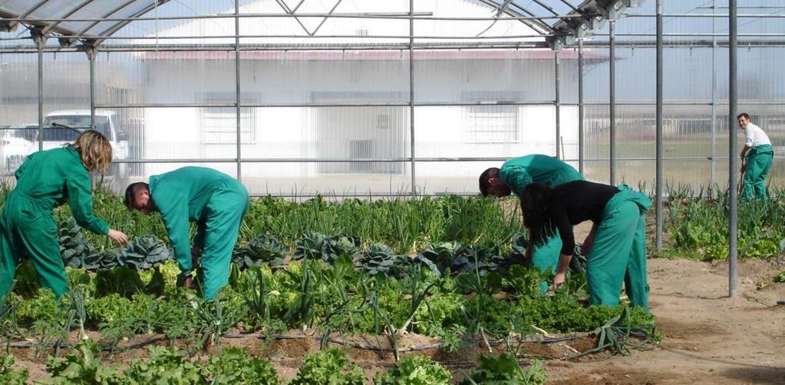 29.000.000 euros para incentivar la agroindustria extremeña