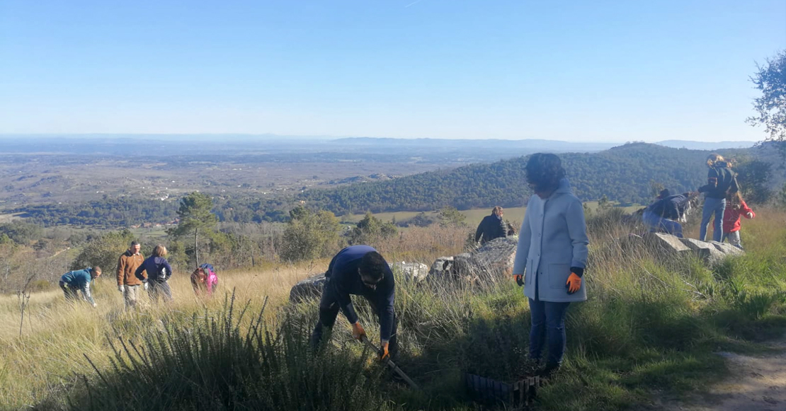 Casi un centenar de voluntarios reforestan la sierra fronteriza de Castelo de Vide