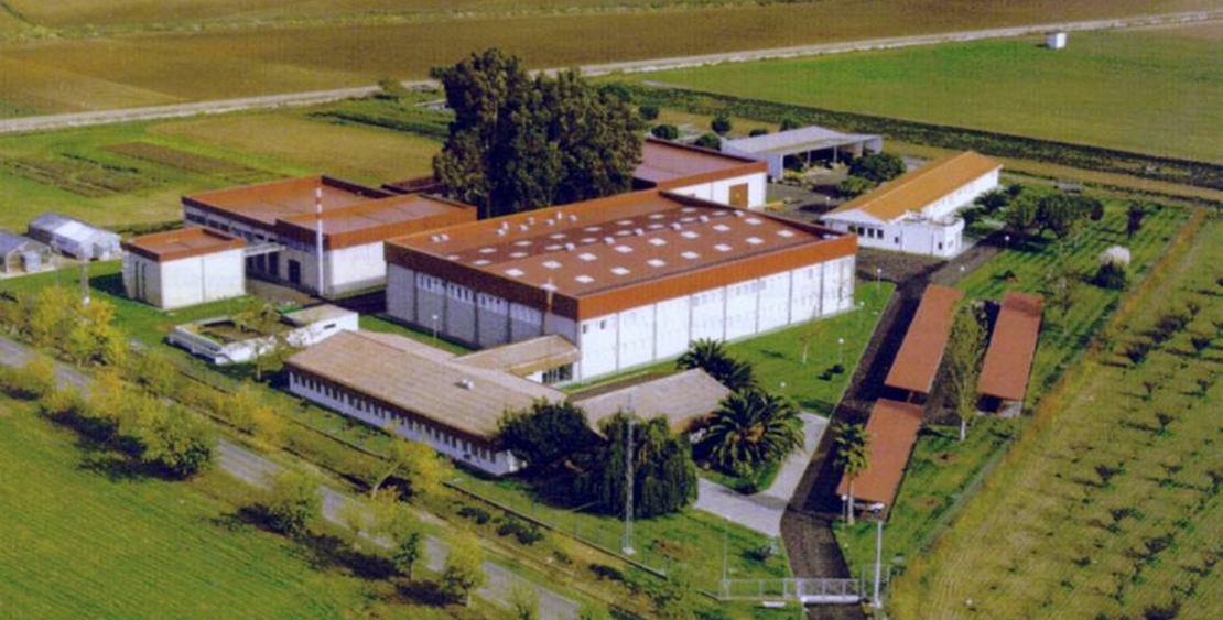Encuentro internacional en CTAEX para hablar sobre empleo joven en el mundo rural