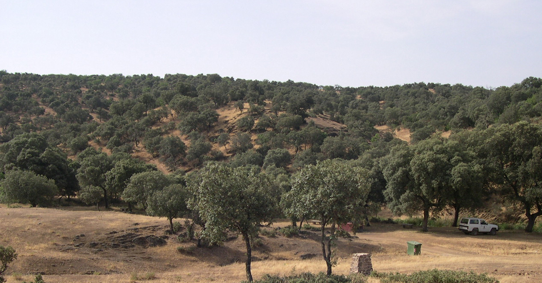 APAG - Asaja: la metodología usada por Agro Seguros “siempre falla contra el agricultor”