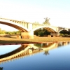 Toneladas de camalote a las puertas de Badajoz ¿alguien ha mentido a los extremeños?