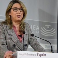 El PP enmendará el “pelotazo legislativo” de Vara que “perjudica a los extremeños”