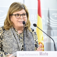 Cs: “El PSOE pone muchos obstáculos para ofrecer documentación”