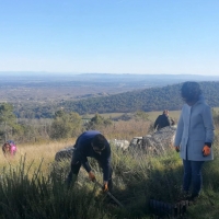 Un centenar de voluntarios reforestan la sierra fronteriza de Sao Mamede