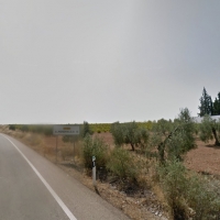 Nivel negro, por corte total, en la carretera de Badajoz a Almendralejo