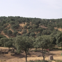 APAG - Asaja: la metodología usada por Agro Seguros “siempre falla contra el agricultor”