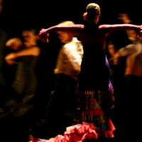 Gala flamenca a favor de la Asociación Extremeña de Trasplantados