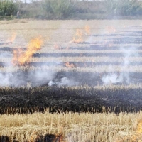 La respuesta de la Junta no satisface a los agricultores