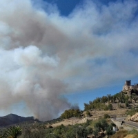 Critican la activación de época de peligro medio de incendios forestales